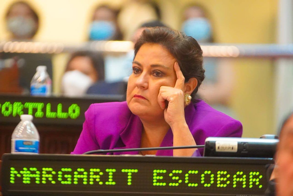 margarita-escobar-solicita-permiso-definitivo-y-exoneracion-del-cargo-hasta-el-final-de-actual-legislatura